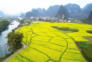 成团【桂林山水】3.13晚-3.15桂林阳朔，十里画廊赏油菜花，兴坪古镇，竹筏漂流，漓江漫步