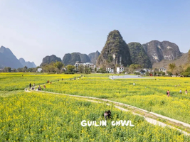3月27-29日 阳朔踏青 黄姚古镇. 十里画廊. 遇龙河拍油菜花3天