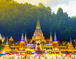 2026年五一假期：抚仙湖 野象谷 森林公园 中科植物园 大佛寺 三动纯玩5日游