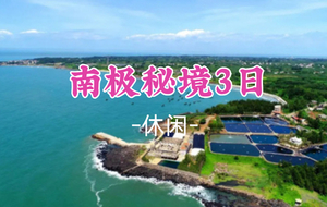 【南极秘境3日】湛江南极村+硇洲岛+菠萝的海+雷州古城