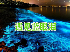 【平潭泉州4天】5.1-5.4遇见“蓝眼泪” 、深度游风车王国平潭岛、世遗名城泉州、蟳浦簪花、漳州古城