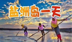 【惠东1天】盐洲岛红树林出海打渔观白鹭纷飞、黑排角彩石滩美拍、赶海、古法制盐一天
