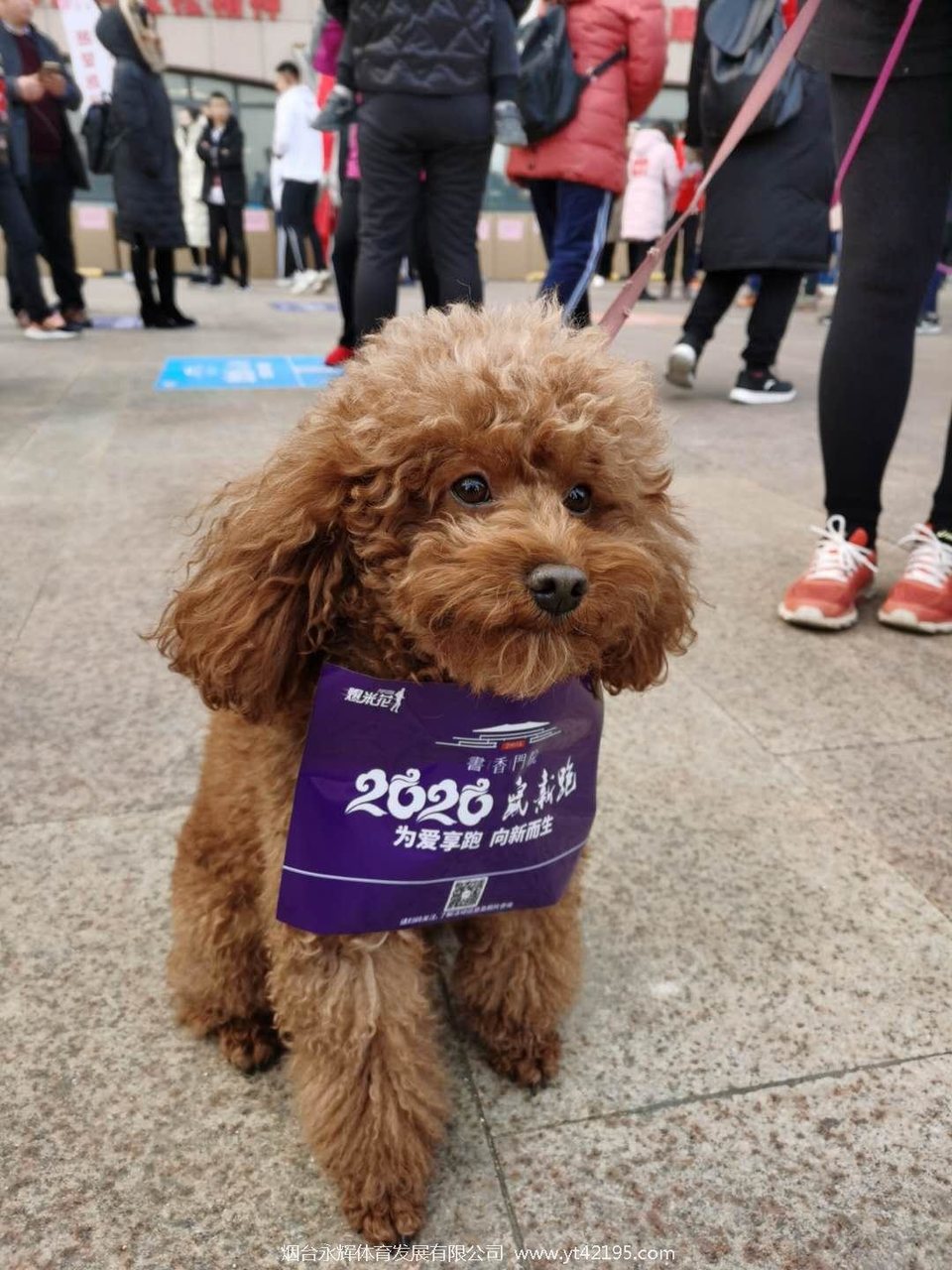 GVnYSlU13RZopYrL5EDAdtswkVM67b96ADmk0Whh6lH3a3b0WZzf6q9yuwRF1NeT