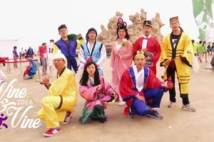 2016蓬莱葡萄酒马拉松-团队篇