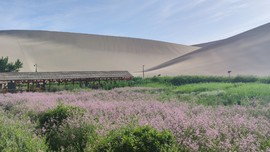 YR-BIan3Xmv606xPUWs7HctvBSZHLpdRh-x-2WFQ1KLGUyzYwKNSH2rBzNGZUU7t