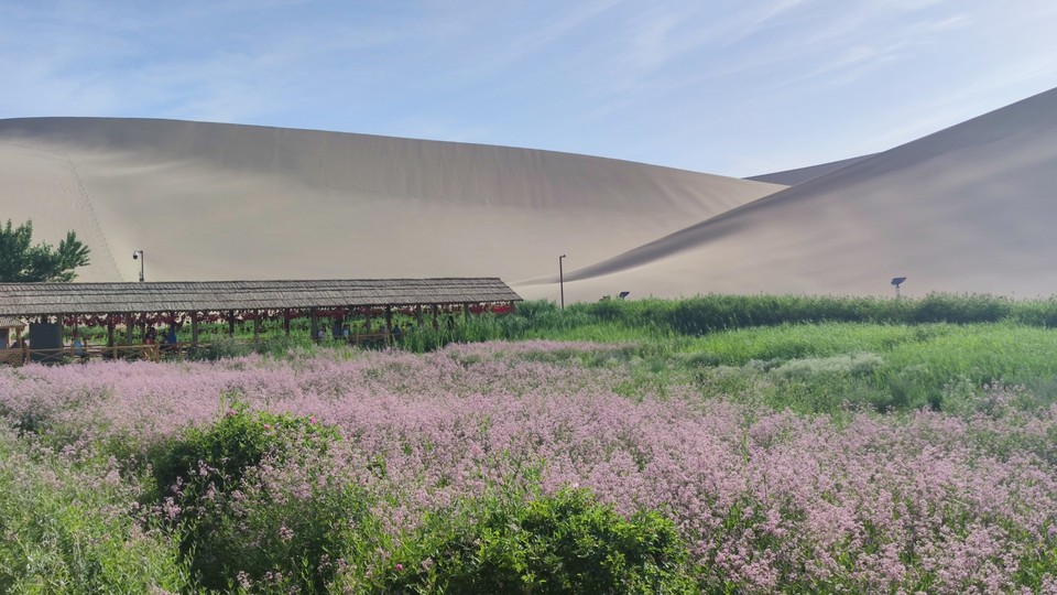 YR-BIan3Xmv606xPUWs7HctvBSZHLpdRh-x-2WFQ1KLGUyzYwKNSH2rBzNGZUU7t