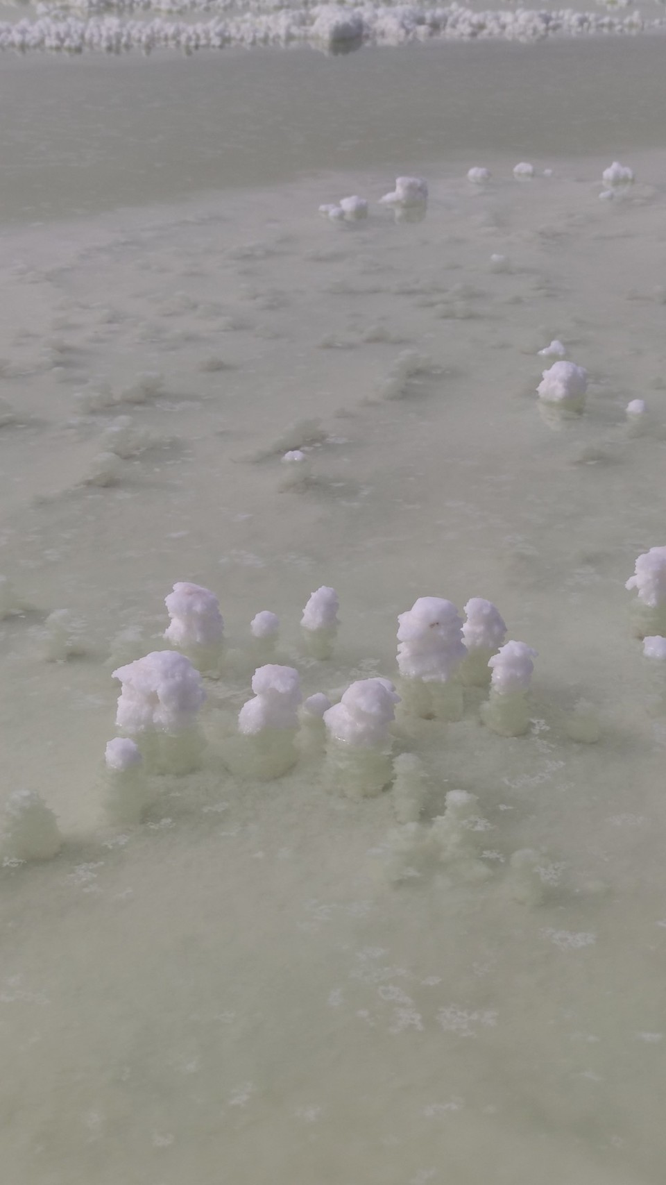 js0OrmCdAp2SHCpgm9r-wuOr5kqzNuSt9TAwlQI43PT9pQdJQZZ_FkNMoTKwXBlw