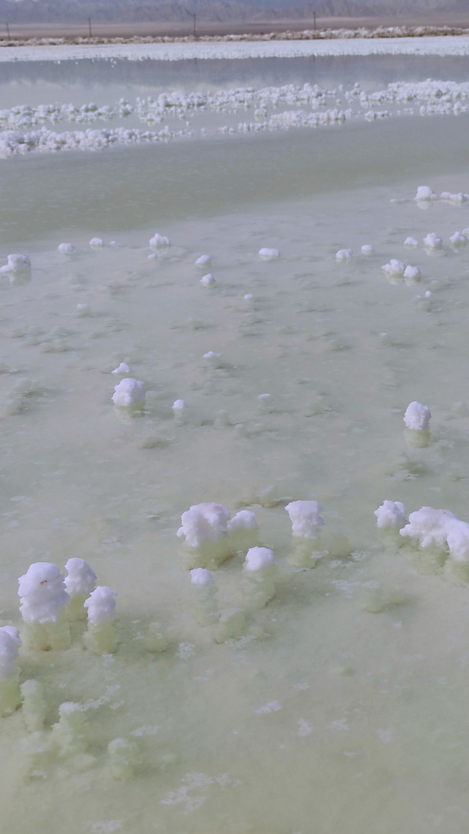 js0OrmCdAp2SHCpgm9r-wnwhBXYCrtEJdPnF5sD9jTaSe1XP6StR82hRm0JR3c4m