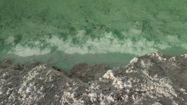 js0OrmCdAp2SHCpgm9r-wqS89LY8zegV8fUvu3aPAJW2SeazrNs76ujzP4lqI5U3