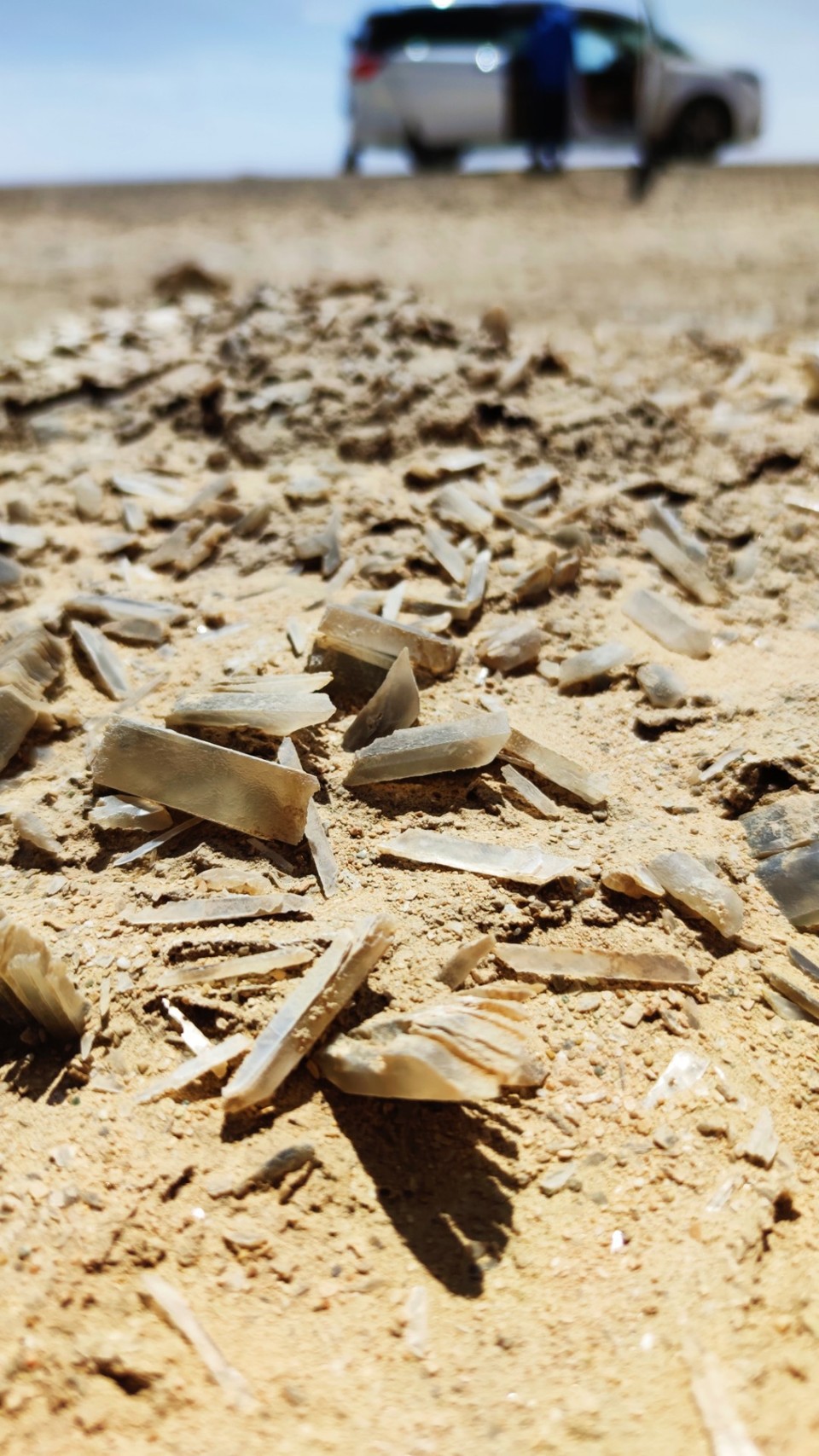 js0OrmCdAp2SHCpgm9r-wr3qZz6RUZRFQnvrGGgUFedO4a4cfsNr00jGLb4XOH3Q