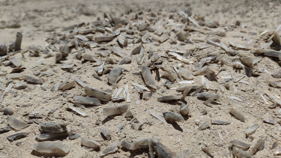 js0OrmCdAp2SHCpgm9r-wo4gP-hkVKh3GclU3wrau0vEbN955d1WRZ6lnn1Db2VZ