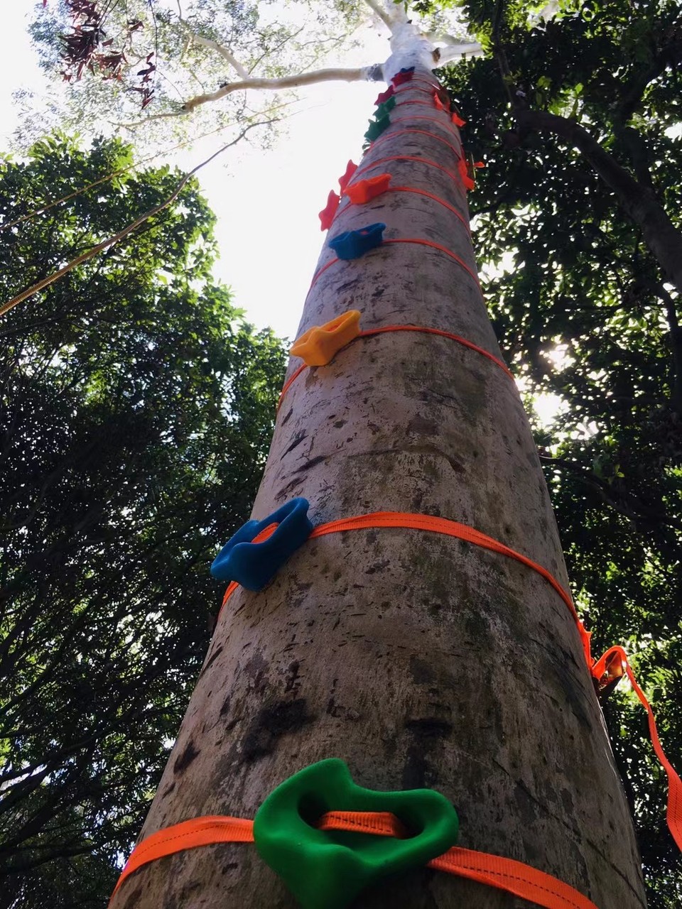 mmexport1630845315026