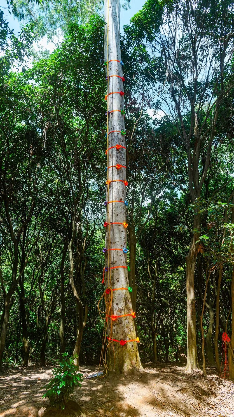 mmexport1630845318698