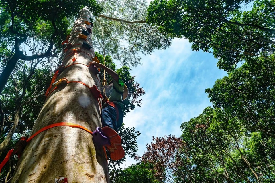 mmexport1630845333389