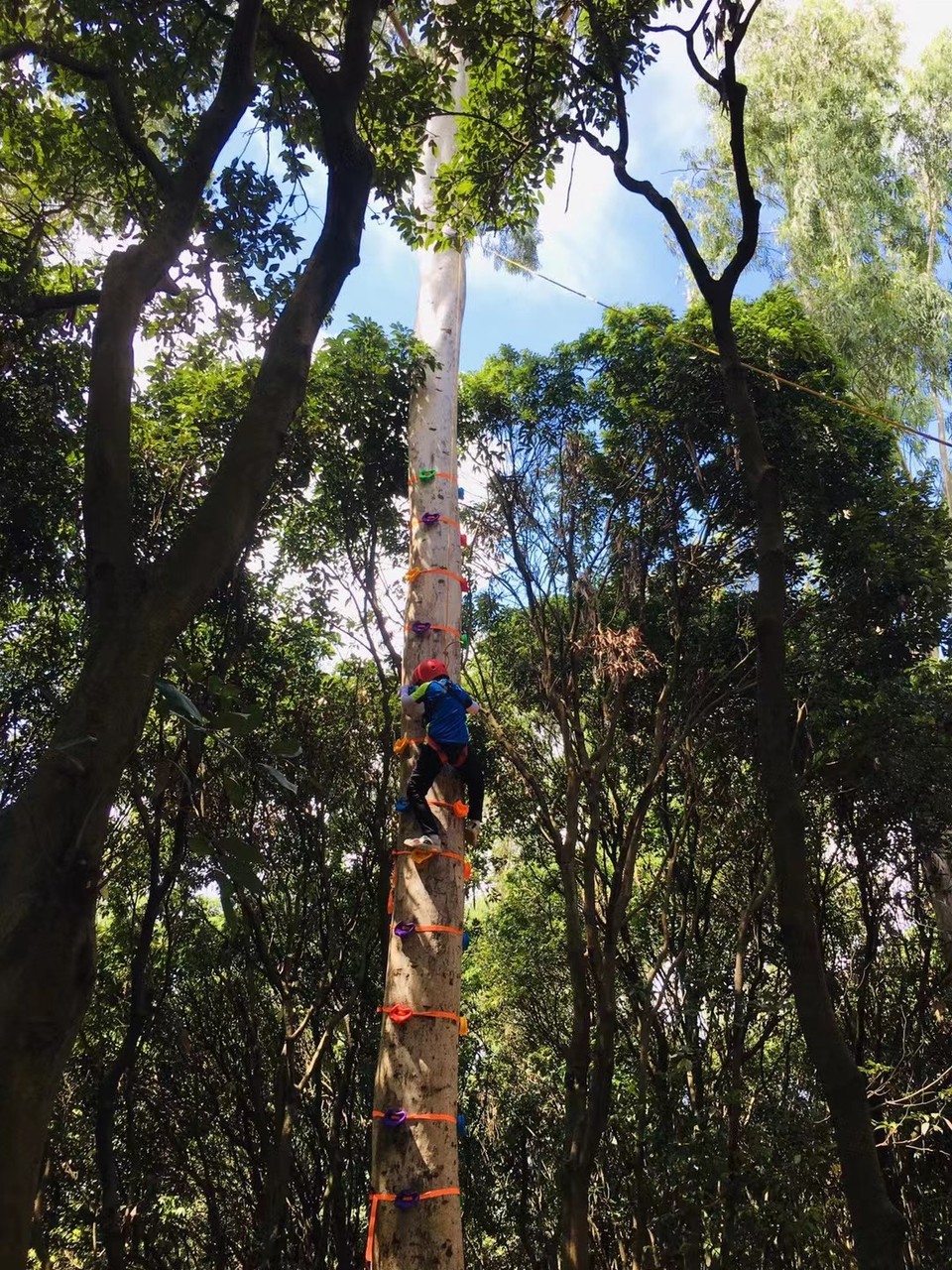 mmexport1630845343284