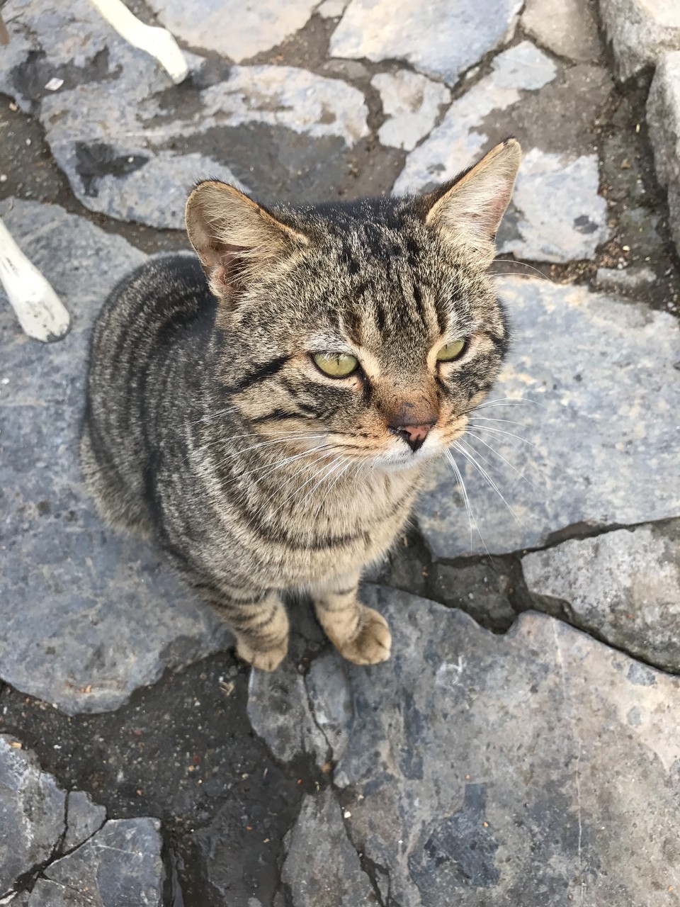 D08E1D08-1326-4D37-9E37-72CE86FF0067