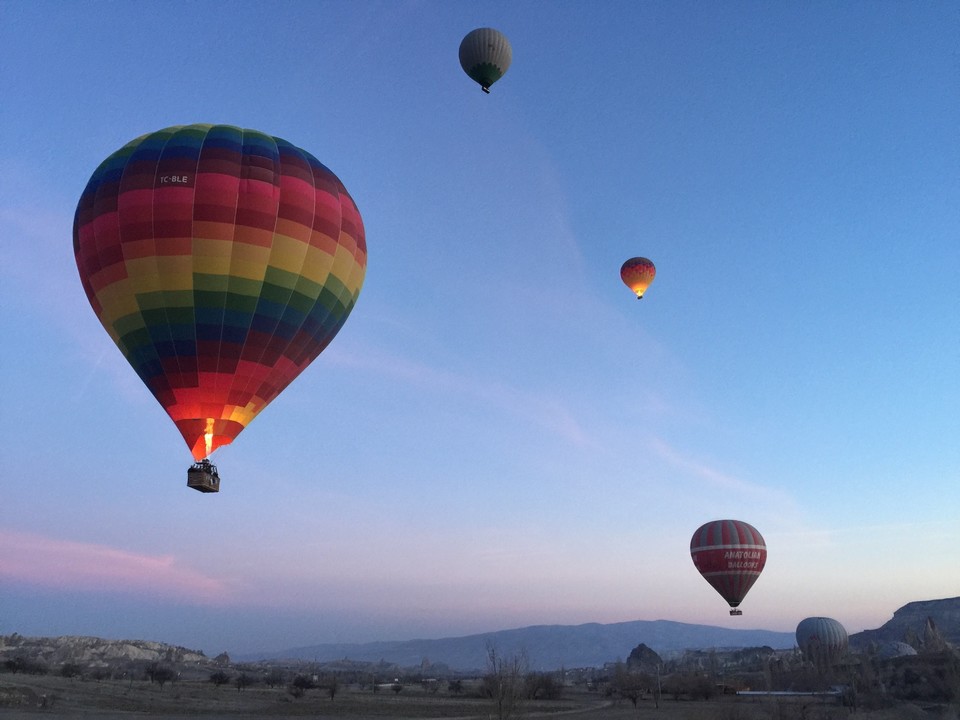 B41B7256-1F40-40AB-AB96-8B240F88D699