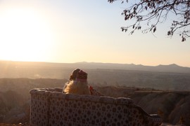 AD8C539A-76FA-4DB7-AA7F-467359E7EE95