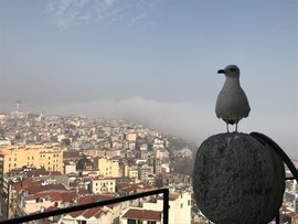 7750E13A-6811-4182-87C5-868659910539