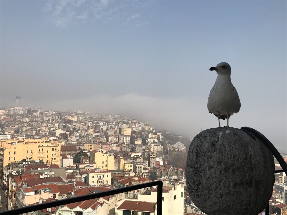 7750E13A-6811-4182-87C5-868659910539