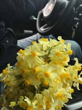 0BF1B70D-D6C3-4EFA-BC03-25363ABA82B8