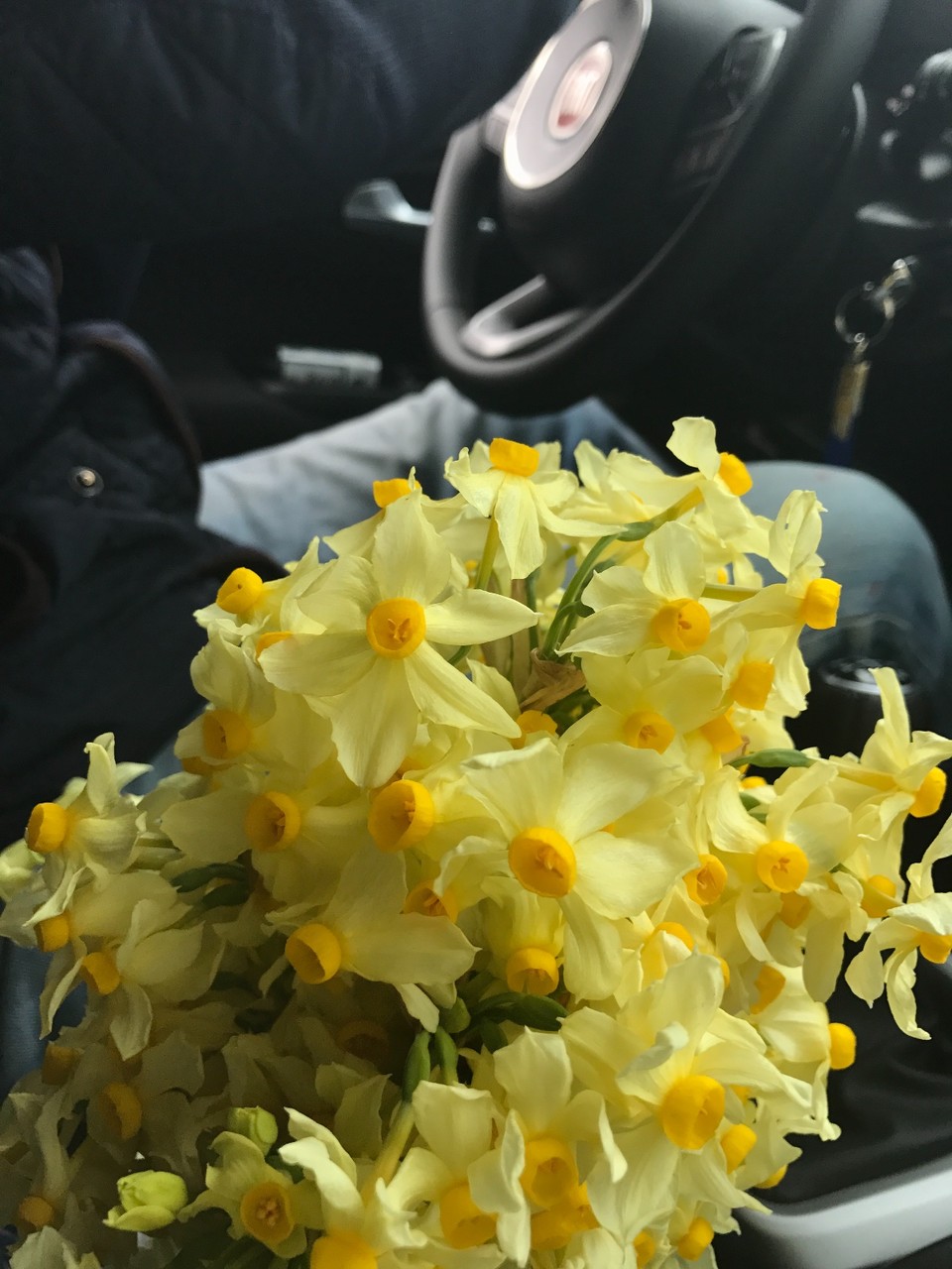 0BF1B70D-D6C3-4EFA-BC03-25363ABA82B8