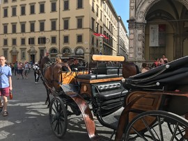 意大利佛罗伦萨旅游