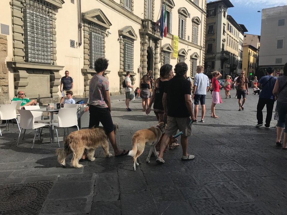 意大利佛罗伦萨旅游