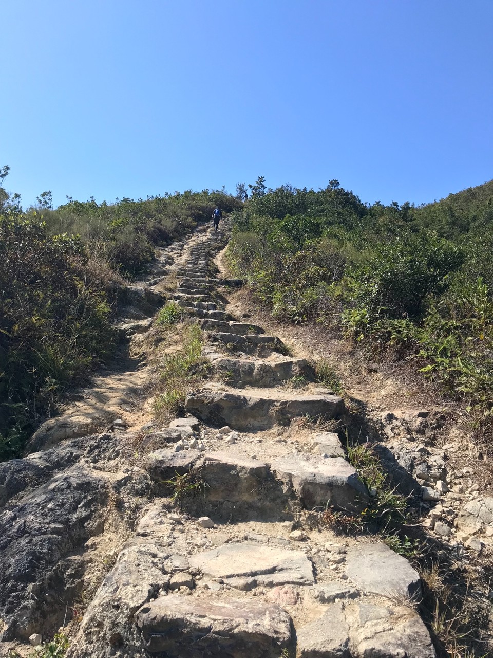 9212F9C5-7072-4ED2-A556-BEC168CB492C