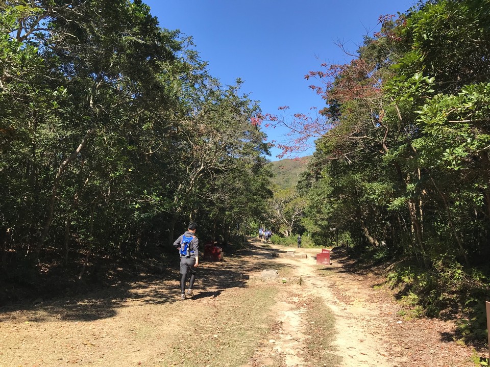 9791957B-0356-4A16-A429-83DAA7ED4634