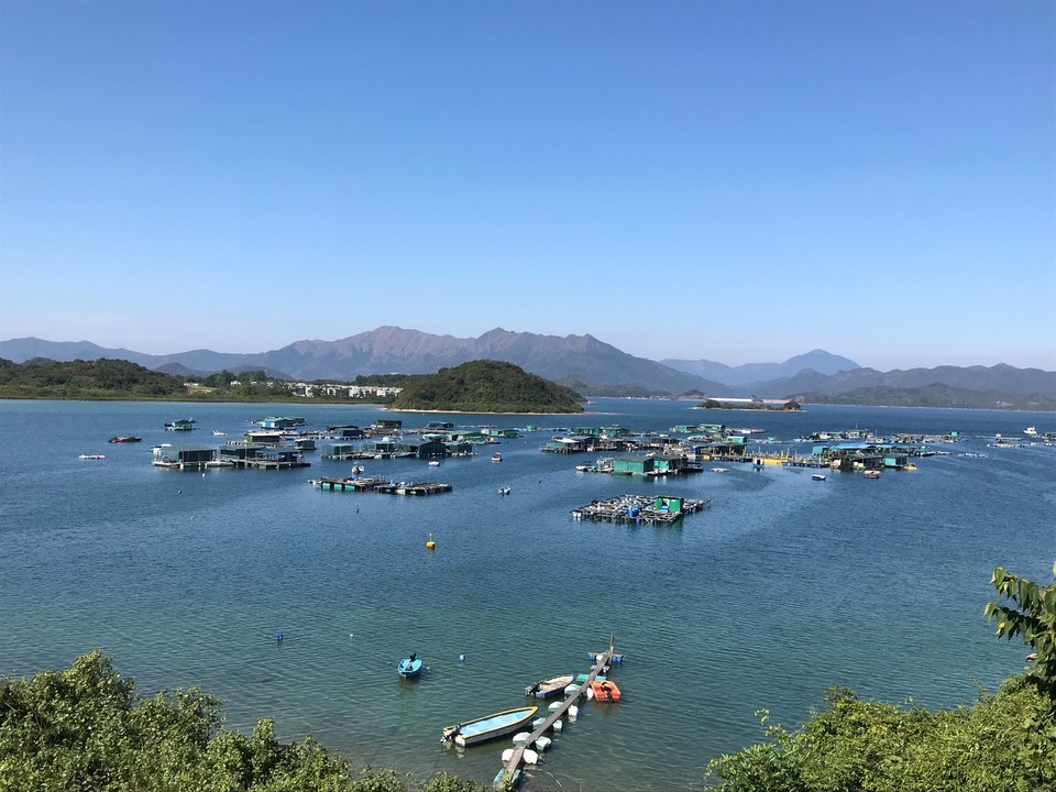 32E0879A-0661-4C6F-AB2E-E80E94BB7FE4