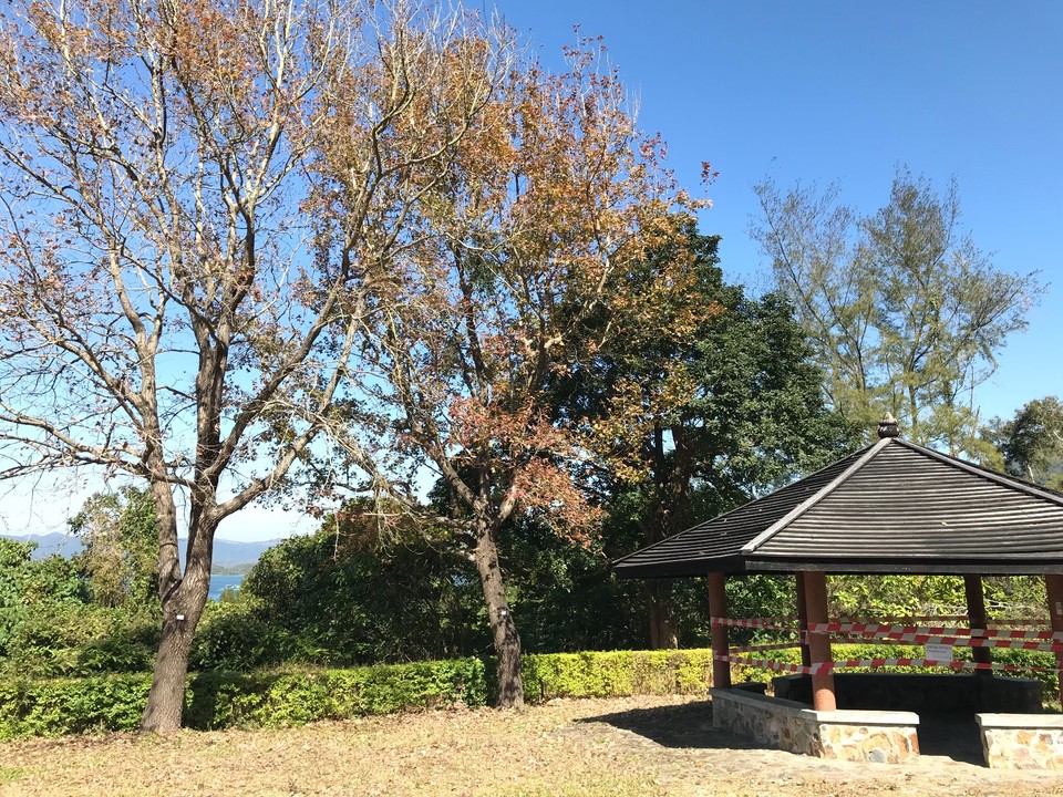 3CA07759-B353-43DA-87FF-97D733BD7F61