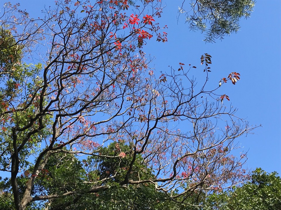 8F7420F8-0226-4159-B5B6-A2ADE25FB366