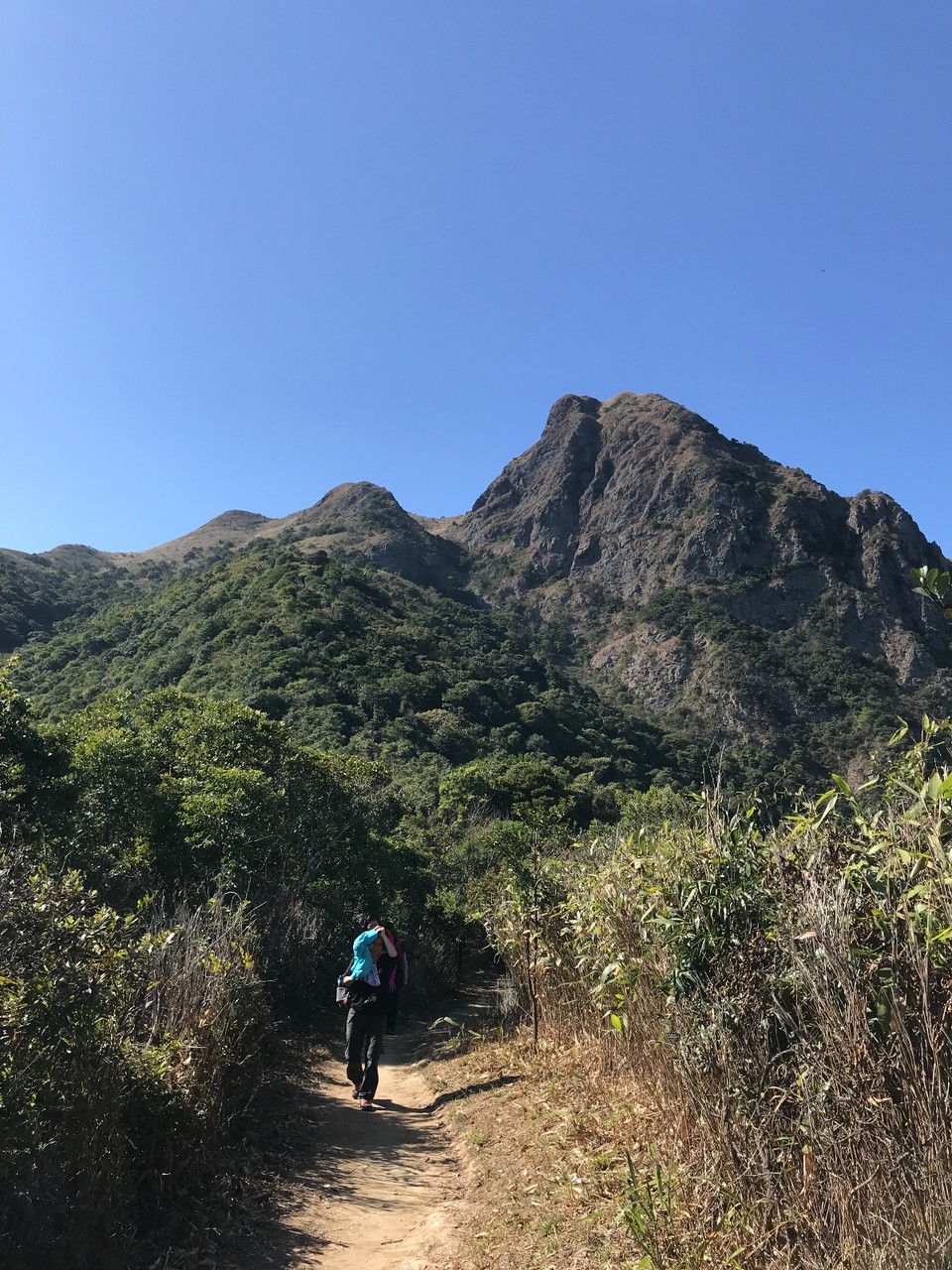 F3B31C6C-80A5-440E-BB68-1D79093DF48E