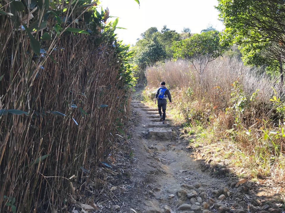 BD84AD84-1714-4174-81BD-64A5445F6F25