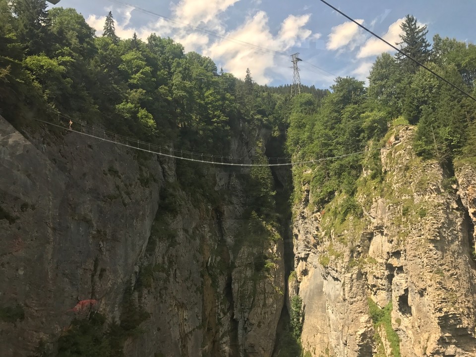 6150365B-5649-4CF1-A73D-BEB95C9F4833