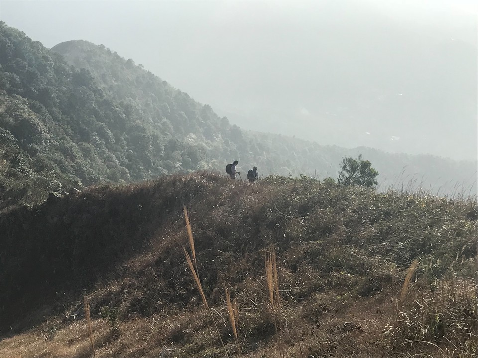 0ADA4716-9159-4976-8925-225F17D180C1