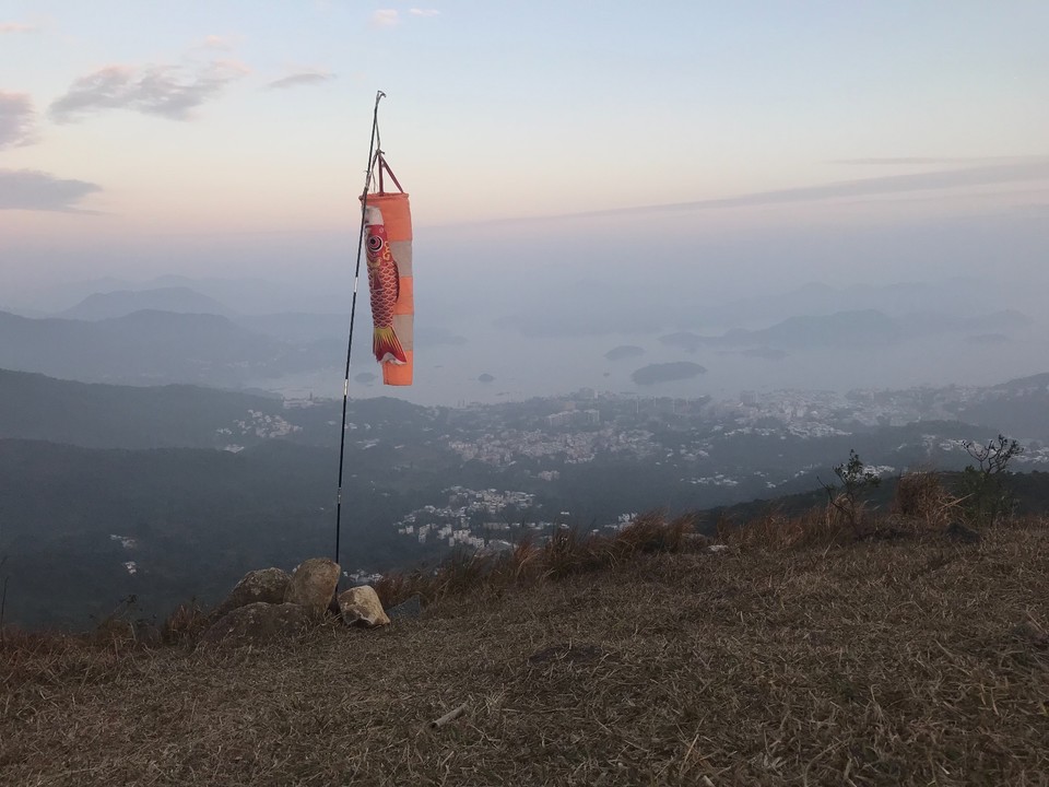 77F59809-EE90-4ECA-BCA0-3FA3D4EEB3A4