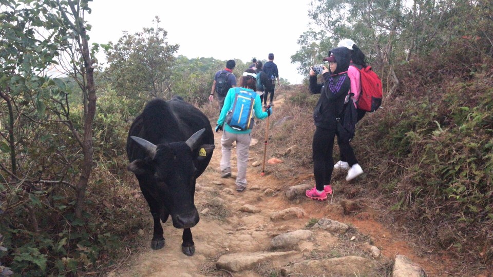 83B514DE-03EE-4140-B24D-B9A0B2846150