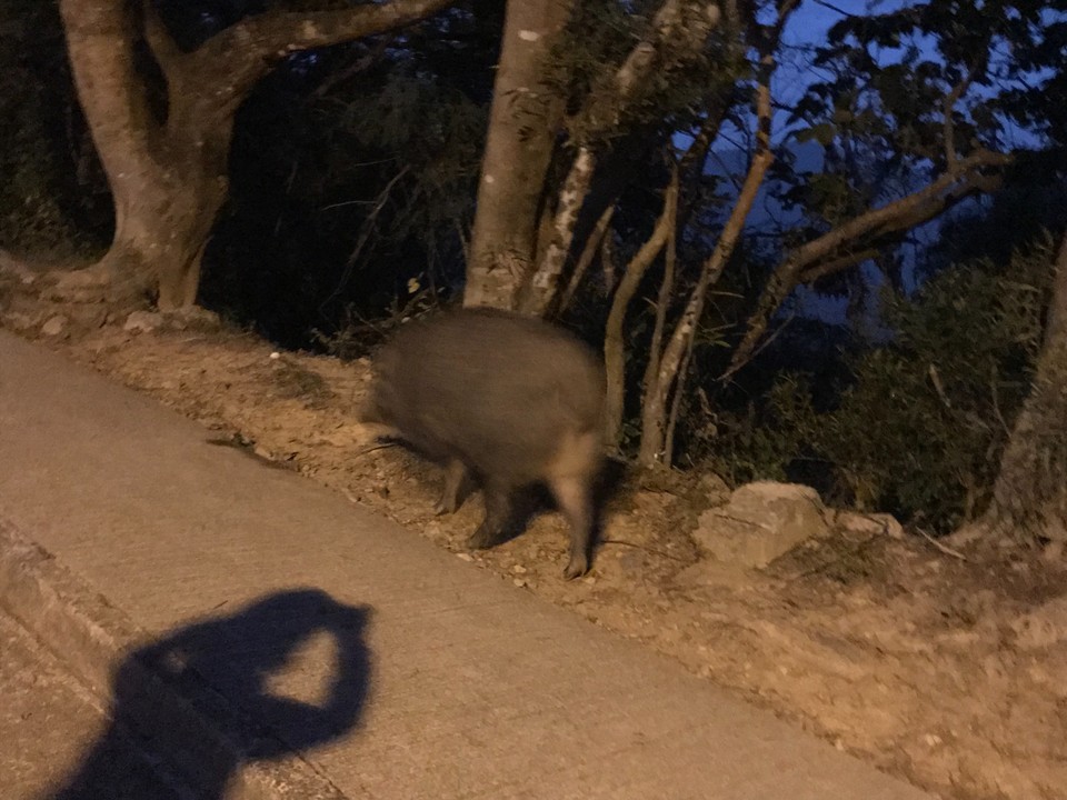 067D8C9E-FE5E-47A8-BA79-2C5AB823FB72