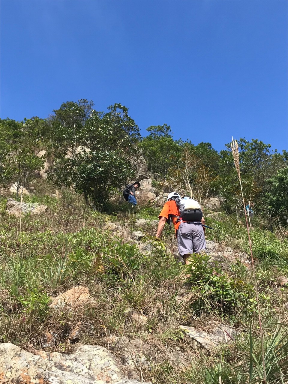 44C29416-684C-4CF3-864E-BD039978A744