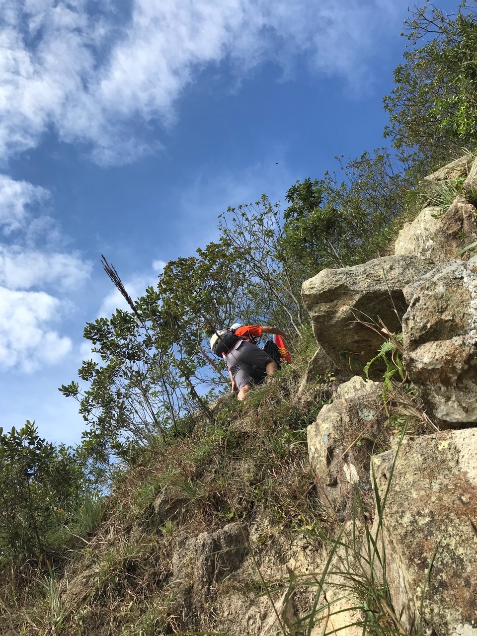 A20D38A2-0AD7-48A4-8070-02053B0605D4