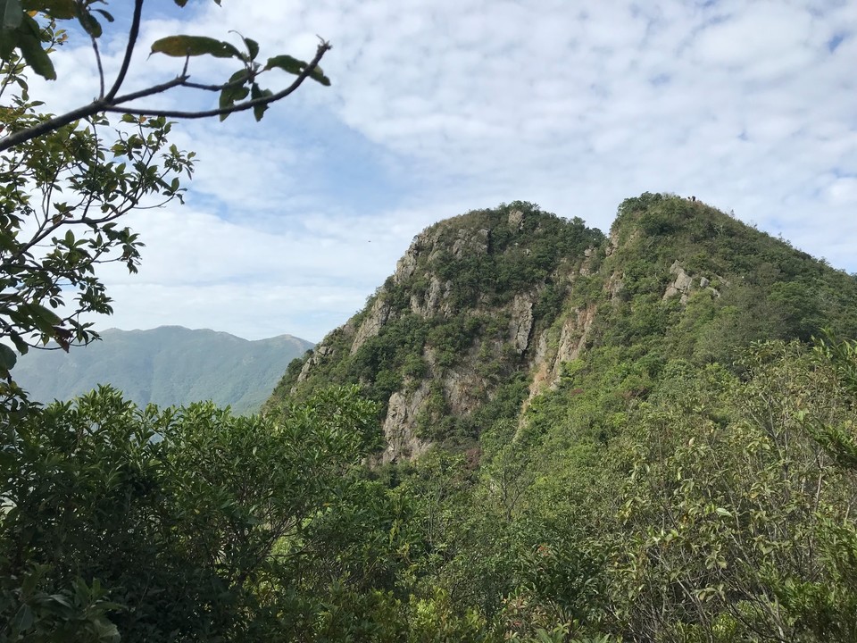 51B73A80-A07F-4B6F-8105-8CD46729C83D