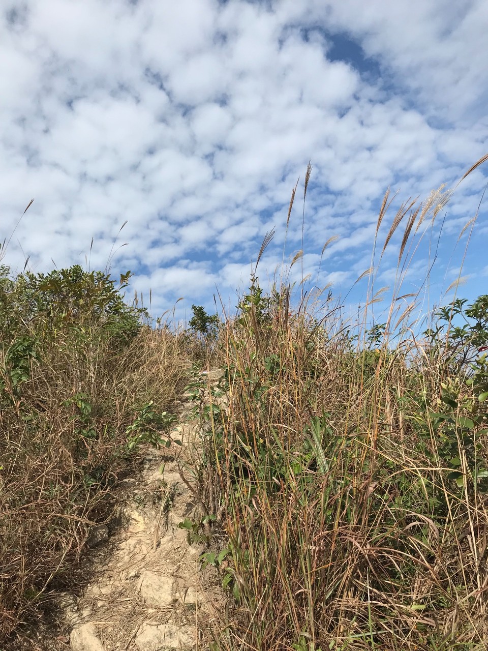 E933B026-94CD-475A-86D0-21CB416B056E