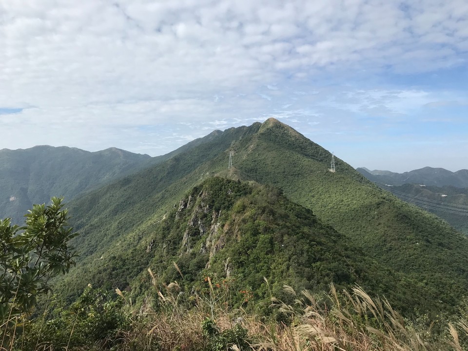 CC184E87-DE3A-432C-876F-8C82F1AA4367