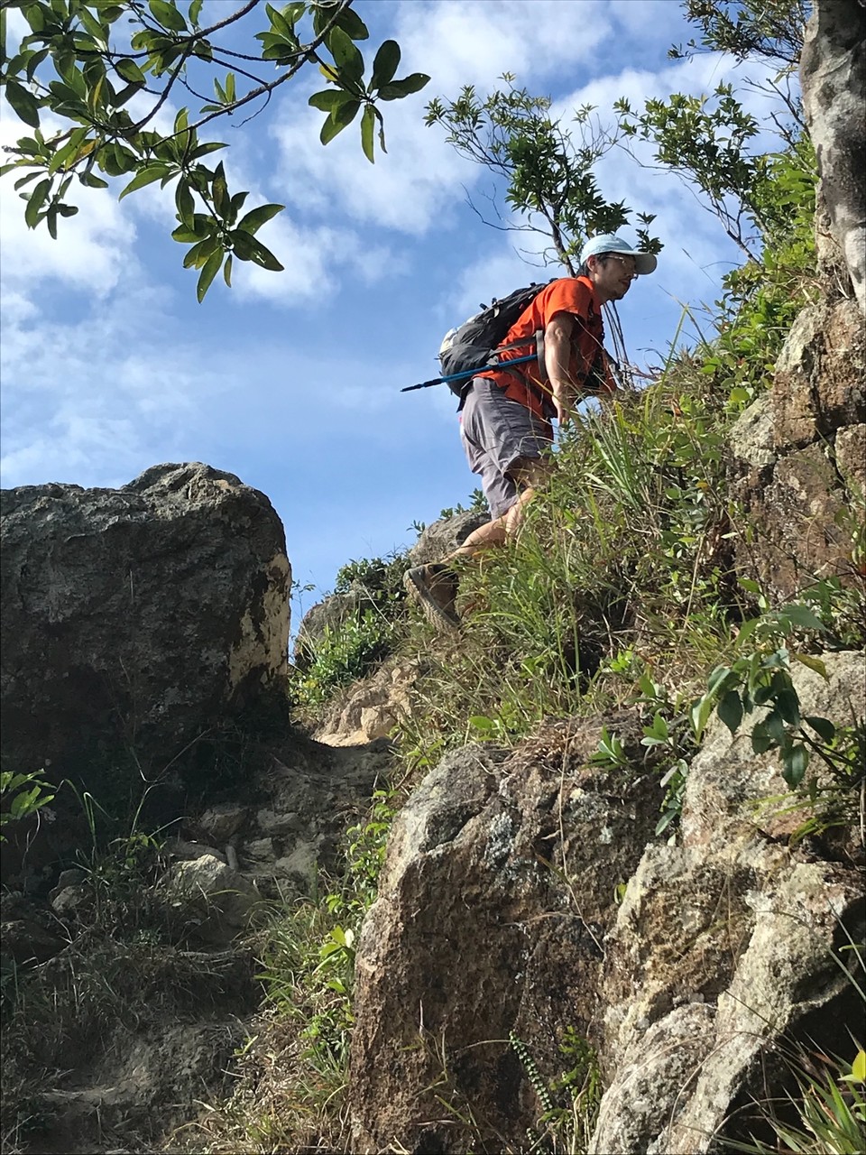 03537871-B5DD-433F-9DE8-C552175568E0