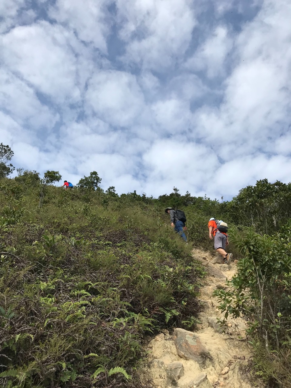 C2EAC407-19A1-4005-B5D4-313CC75638A3