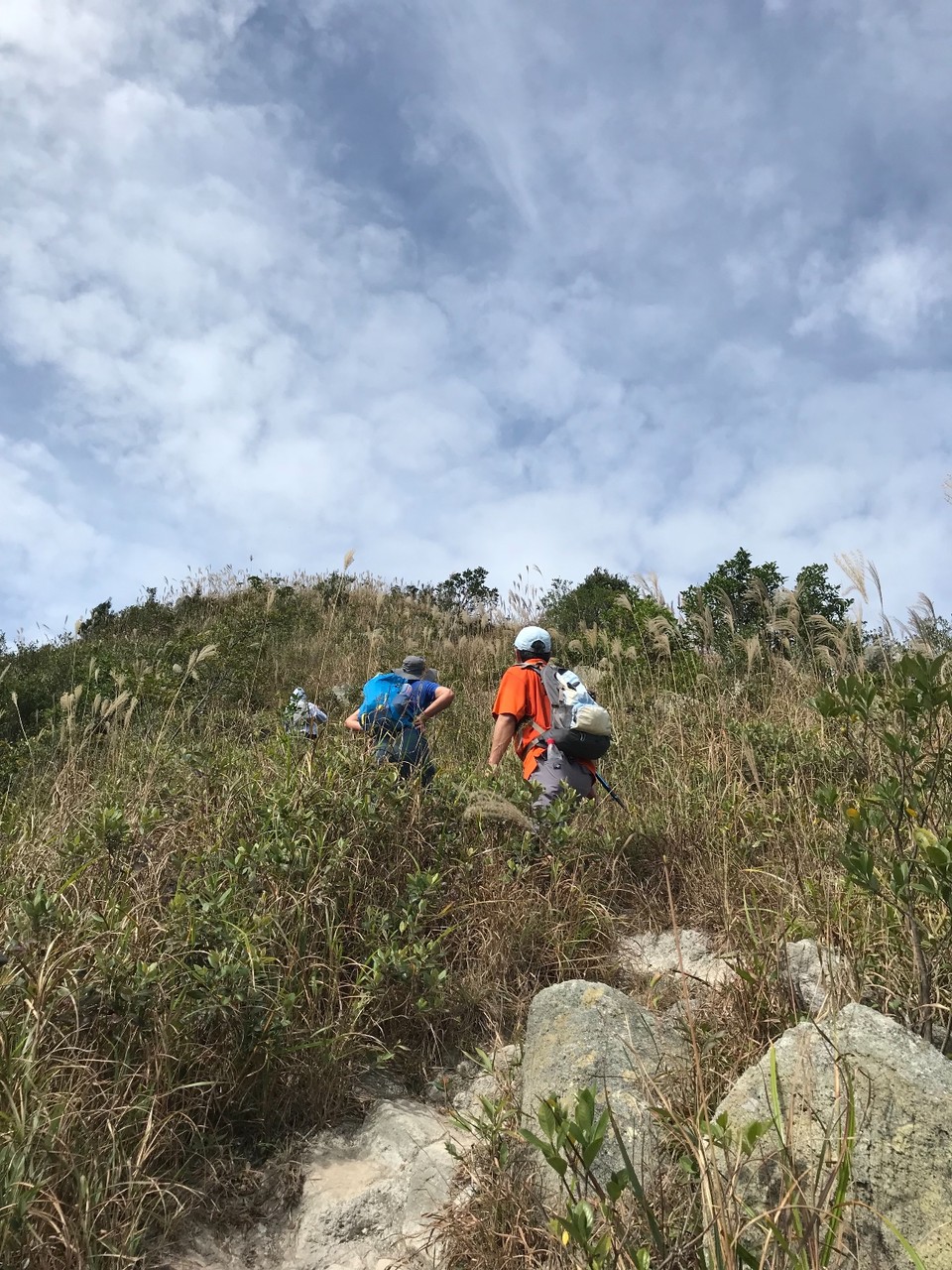 E53B3139-0D3C-450C-8F79-E29998E0D399