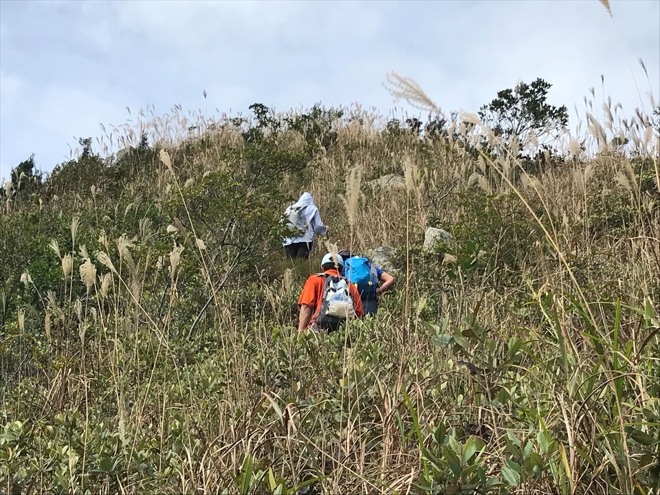 EB152B99-F5F5-4A7B-9426-1F7470FDA60A