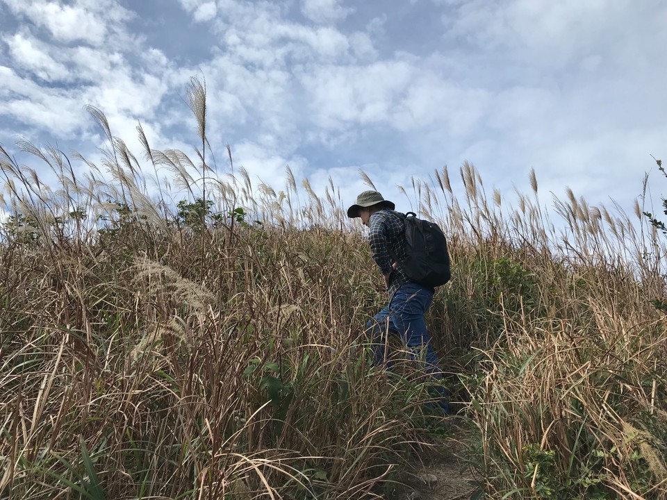 CFBED32C-A6C7-43B9-9114-4807A2EF1467